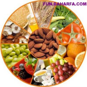 fat-burning-foods-featured