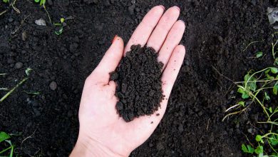 خاک لومی چیست