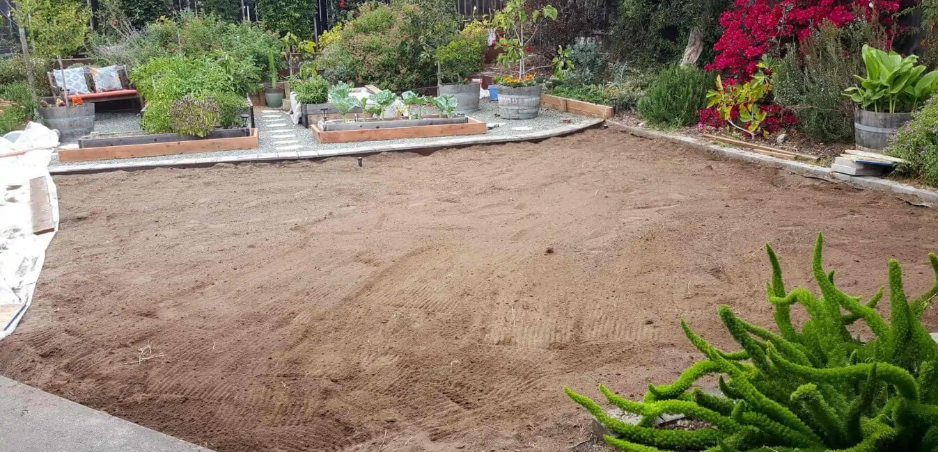 پاکسازی خاک برای کاشت دانه چمن