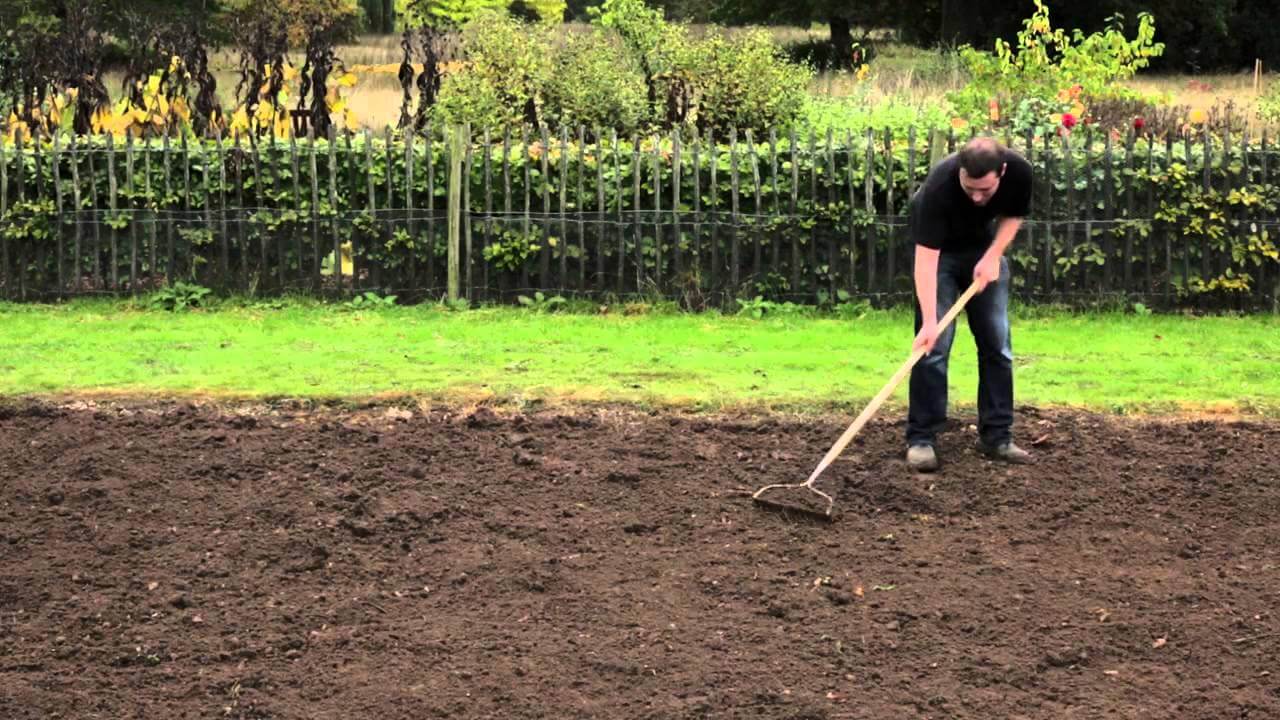 آماده سازی خاک برای کاشت دانه چمن